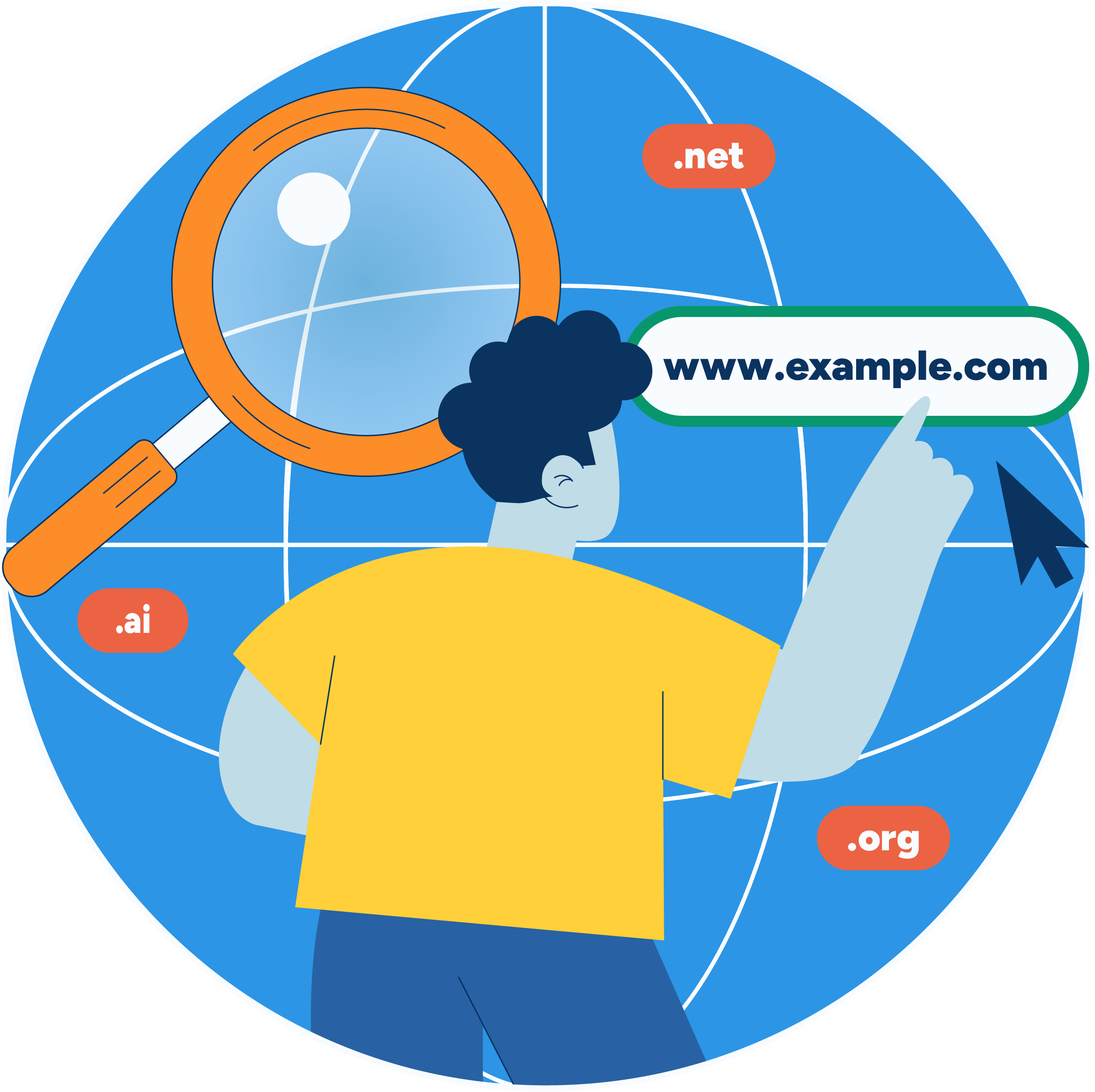 Example of someone searching for the domain "www.example.com"